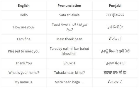 The Power of Words: The Impact of Curse Phrases in Punjabi Language